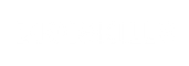 DIGISKILLS